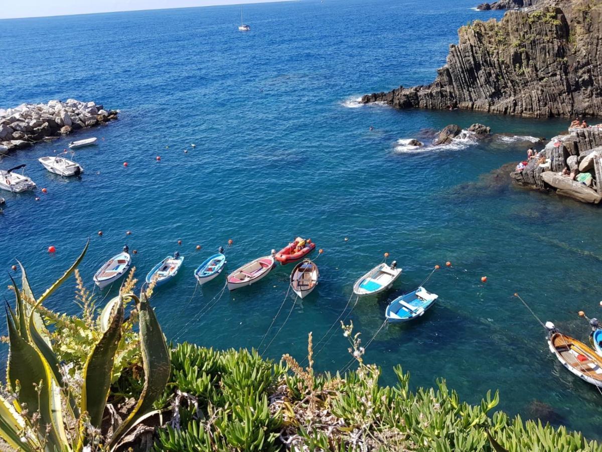 Vitis Vitae Vernazza, San Bernardino 5 Terre Buitenkant foto